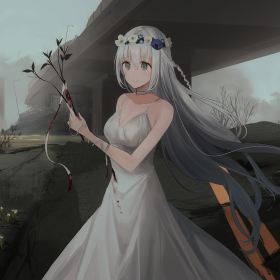 今日美图分享 [s-