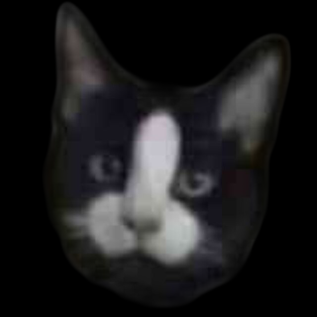 dogmeow