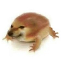碎鼻梁警告