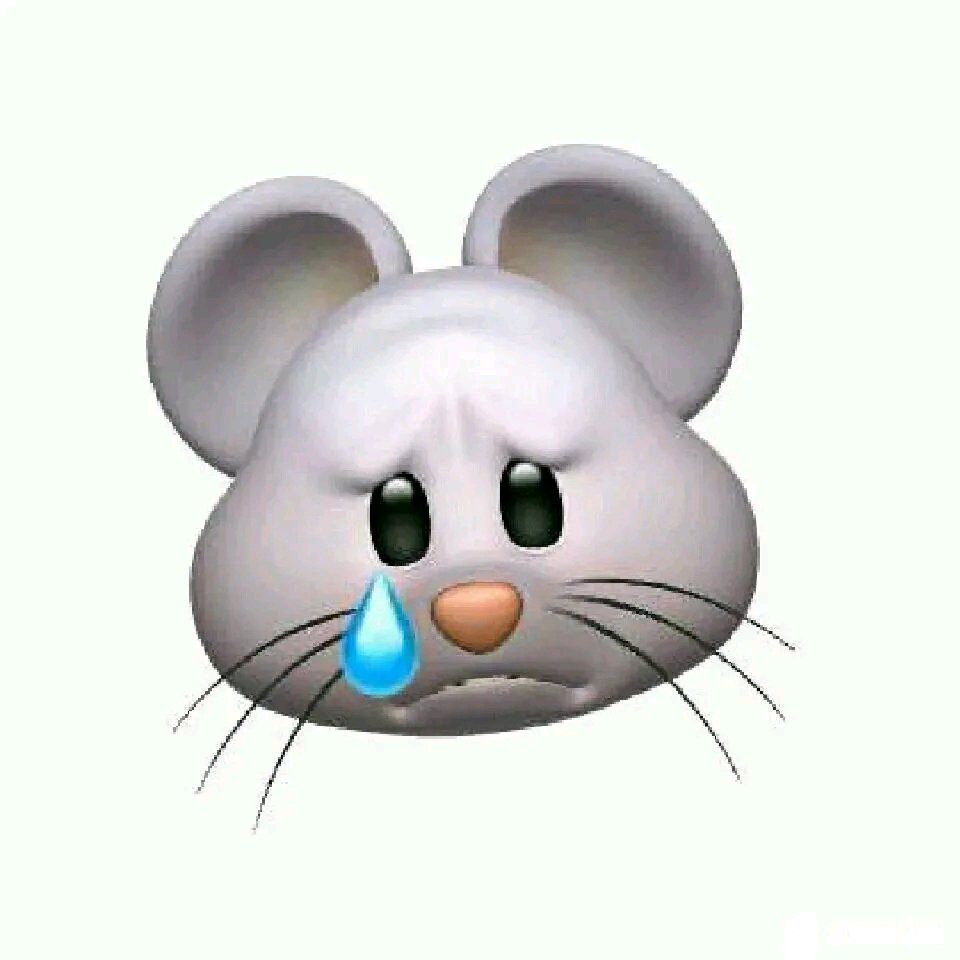 Jeson